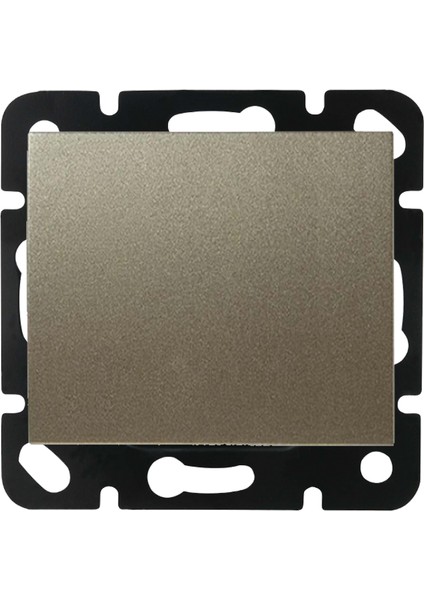 Viko Panasonic Thea Blu Anahtar Dore Renk Çerçevesiz WBTR00015DR-TR