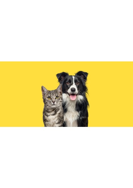 Vetugen Pembe Kapaklı Silikon Parmak Fırça