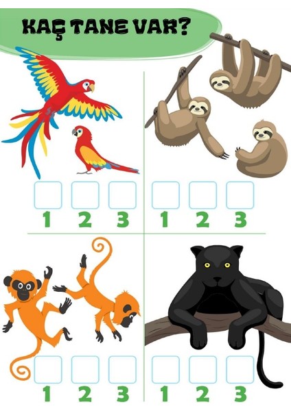 Miniklere Eğlenceli Matematik Kitap Seti