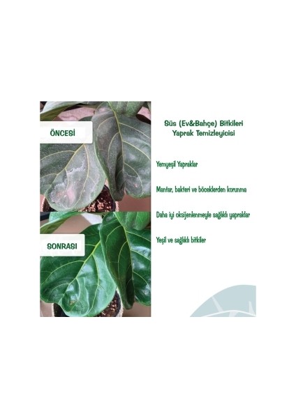 Yaprak Temizleyici , Koruyucu ve Parlatıcısı 500 ml