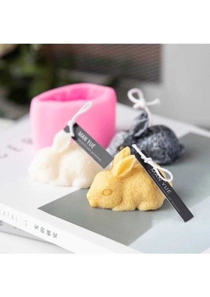 Tavşan Mum Kalıbı