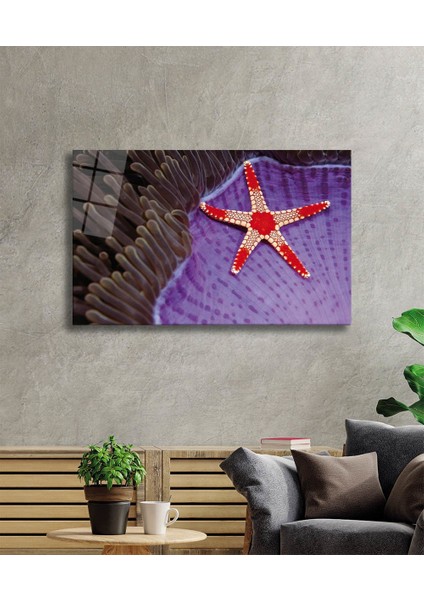 Deniz Yıldızı Cam Tablo Starfish