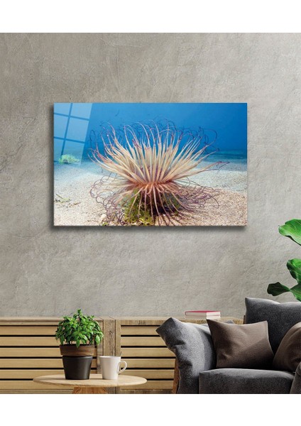 Sualtı Canlıları Cam Tablo Marine Life
