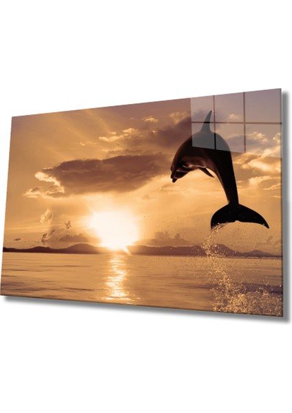 Yunus Balığı Cam Tablo Dolphin