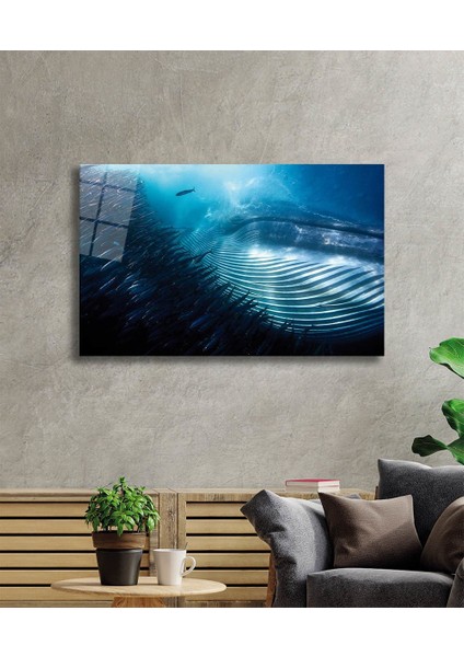 Sualtı Hayvanlar Cam Tablo Marine Life