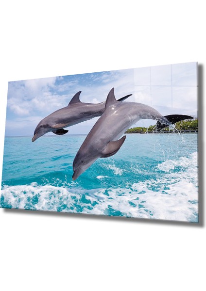 Yunus Balıkları Cam Tablo Dolphins