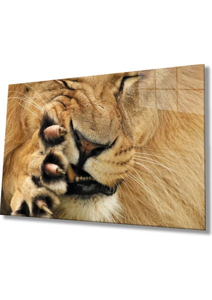 Aslan Cam Tablo
