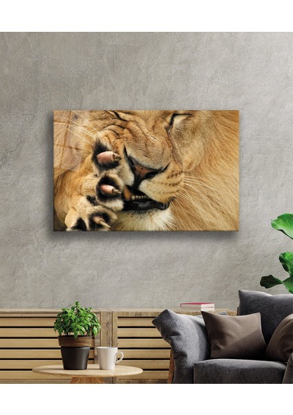 Aslan Cam Tablo