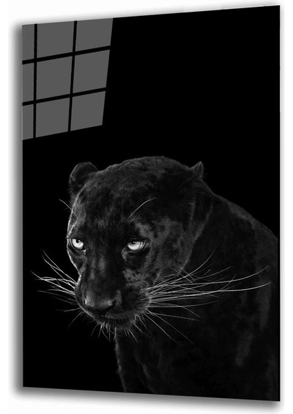 Jaguar Hayvan Cam Tablo
