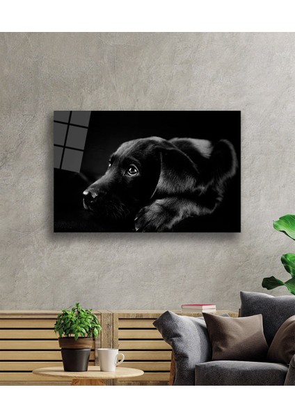 Köpek Hayvan Cam Tablo