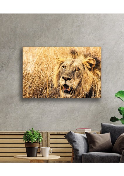 Aslan Cam Tablo