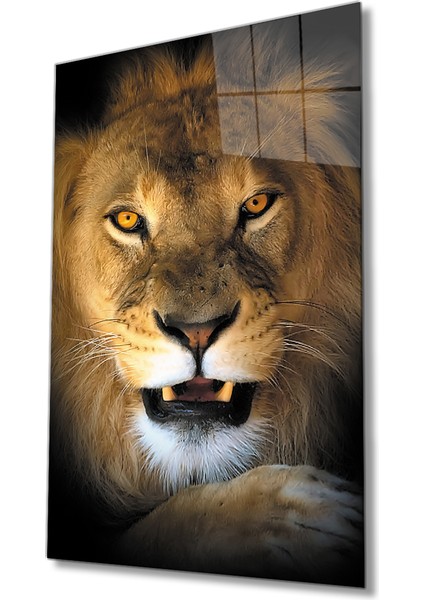 Aslan Hayvan Cam Tablo