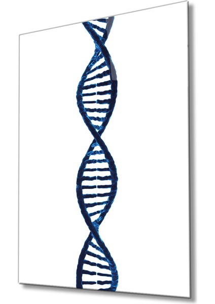 Dna Geometrik Mimari Cam Tablo