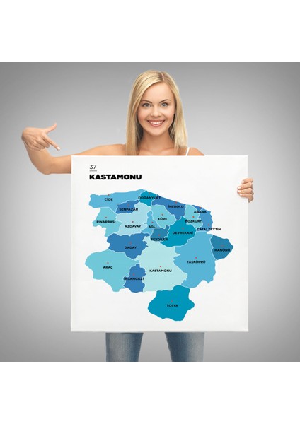 Kastamonu Ili ve Ilçeler Haritası Dekoratif Kanvas Tablo 1384