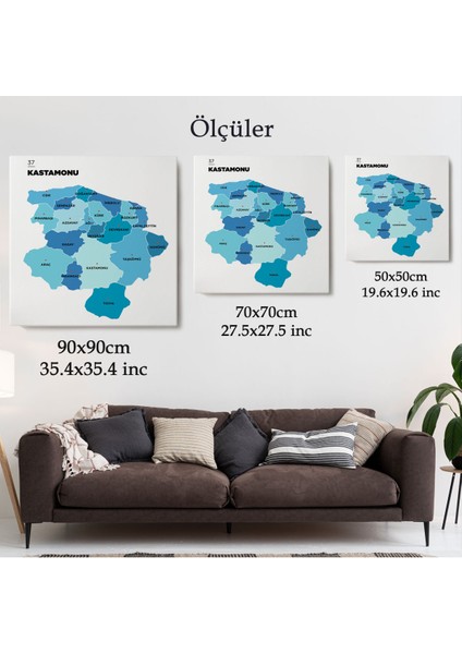 Kastamonu Ili ve Ilçeler Haritası Dekoratif Kanvas Tablo 1384