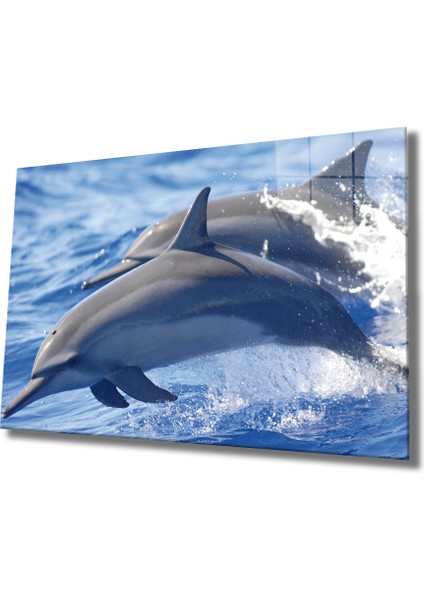 Yunus Balıkları Cam Tablo Dolphins