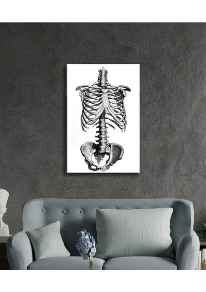 Insan Kemikleri Cam Tablo Human Bones