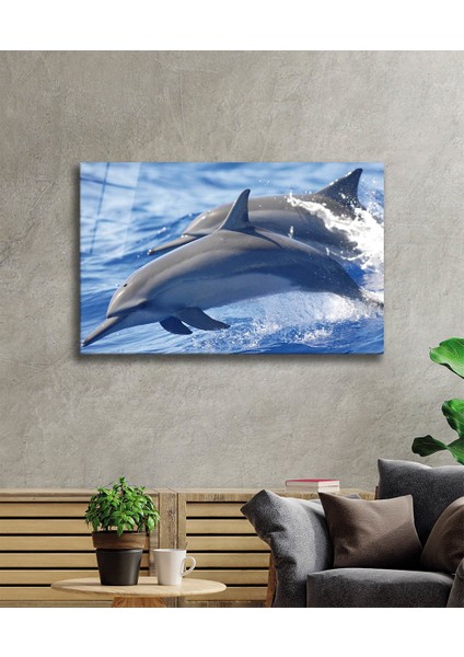 Yunus Balıkları Cam Tablo Dolphins
