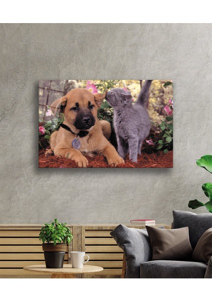 Kedi Köpek Cam Tablo