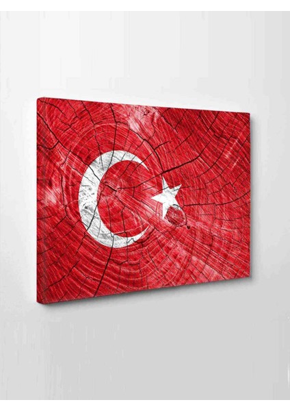 Türk Bayrağı (Bir Hilal Uğruna Ya Rab) 100 x 70