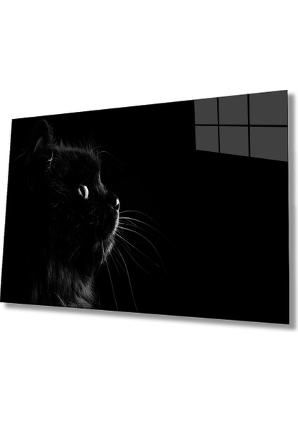 Kedi Hayvan Cam Tablo