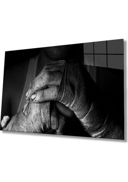 Siyah Beyaz Insan Fotoğrafları Eller Cam Tablo Hands