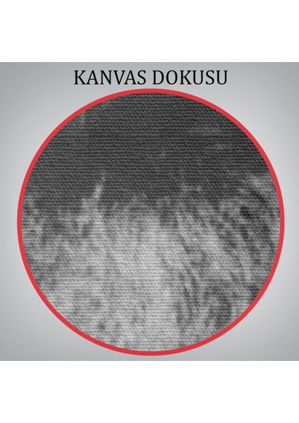 Karl Marx Siyah Beyaz Dekoratif Kanvas TABLO-5964 fırsatları