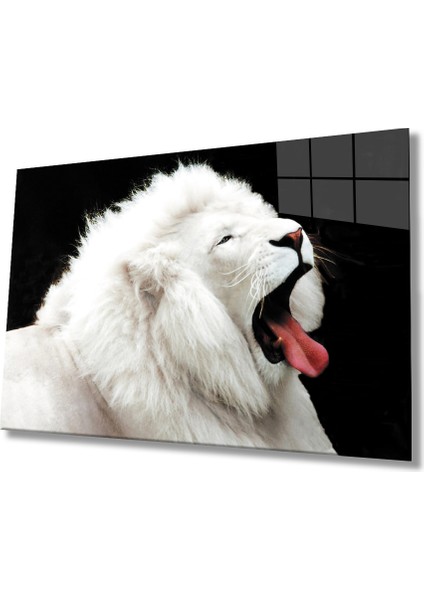 Aslan Cam Tablo