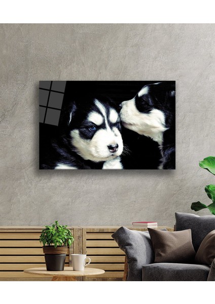 Kedi ve Köpek Cam Tablo