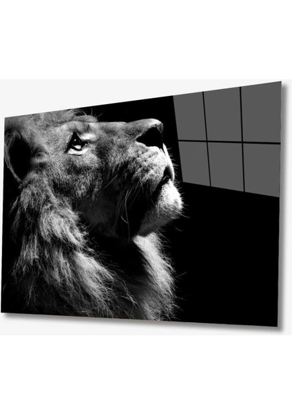 Aslan Hayvan Cam Tablo 4mm Dayanıklı Temperli Cam