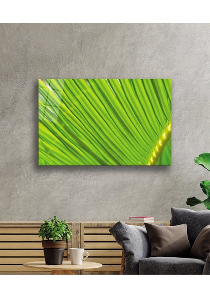 Yeşil Bitki Green Plant fiyatları