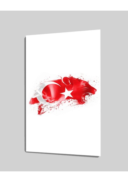 Türk Bayrağı ve Pars Cam Tablo