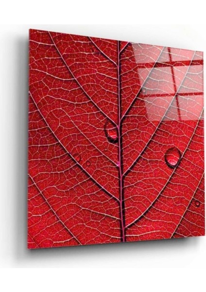 Su Damlacıkları Cam Tablo 50 x 50 cm
