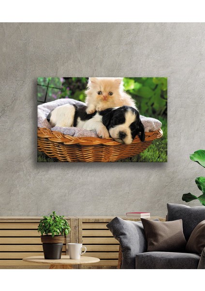 Kedi Köpek Cam Tablo