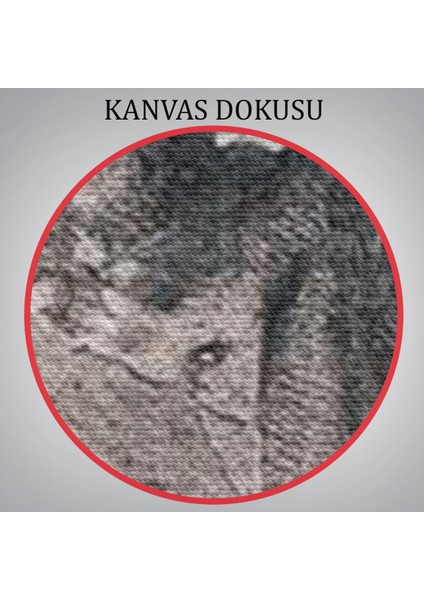 Goethe'nin Faust'undan Mephistopheles'in Gökyüzündeki Önsözü Kanvas TABLO-5301