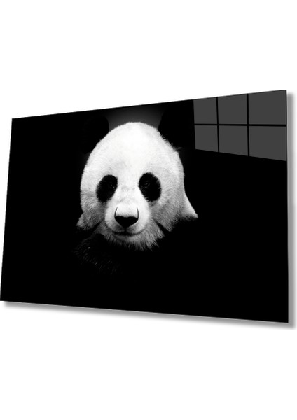Panda Hayvan Cam Tablo