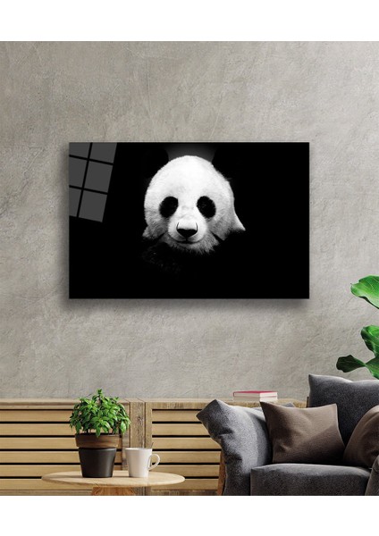Panda Hayvan Cam Tablo