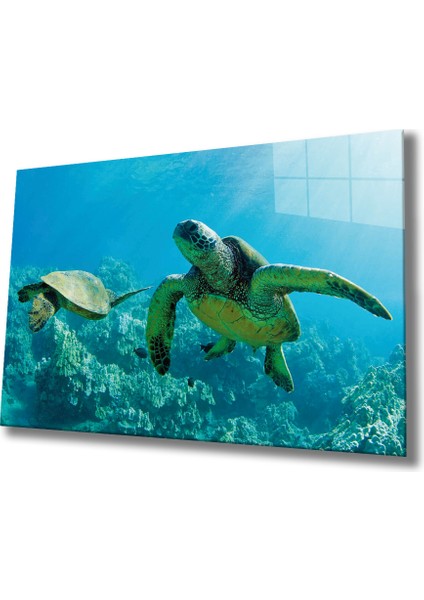 Deniz Kaplumbağası Cam Tablo Sea Turtle