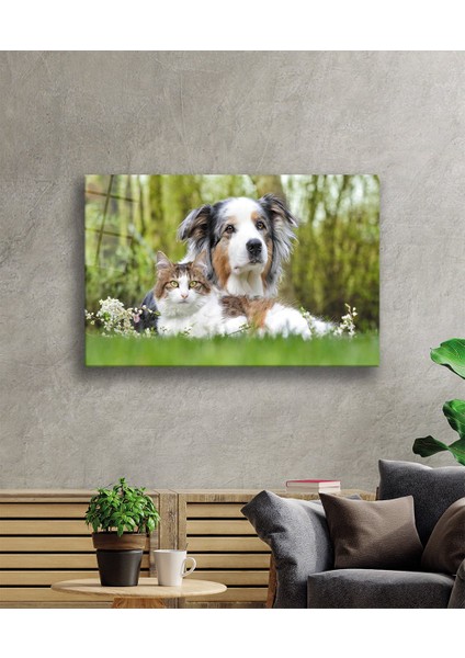 Kedi Köpek Cam Tablo