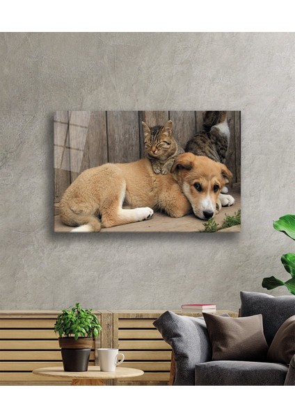Kedi Köpek Cam Tablo