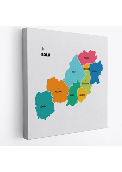 Bolu Ili ve Ilçeler Haritası Dekoratif Kanvas Tablo 1300