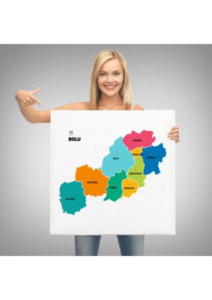 Bolu Ili ve Ilçeler Haritası Dekoratif Kanvas Tablo 1300
