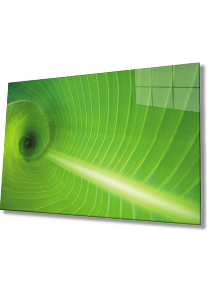 Yeşil Yaprak Green Leaf