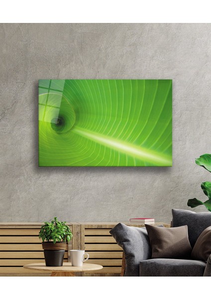 Yeşil Yaprak Green Leaf