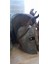 -Ancient Helmet Biblo 1