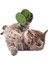 Petinka® Mini Silindir Eğlenceli Renkli Sağlam Küçük Pati Izi Şekilli Kedi Oyuncağı 4