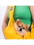 Sarı Crossbody Çanta Kedi Köpek Taşıma Çantası Ç2302 3