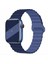 Apple Watch Seri 2/3/4/5/6/7/8/9/se 38MM 40MM 41MM Magnetic Çift Renk Silikon Kordon 1