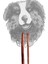 Bully Stick - Dana Penisi 30 cm 2 Adet 1