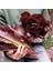 Super Red Romaine Kırmızı Yaprak Marul Tohumu Atalık 1
